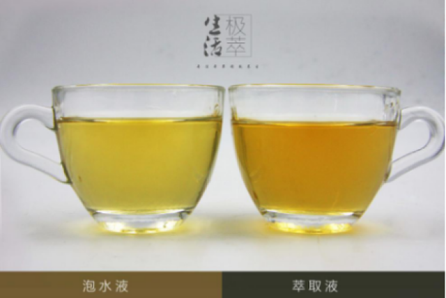 本草食疗之淡竹叶萃取vs泡水:极萃萃取,清凉一夏图片