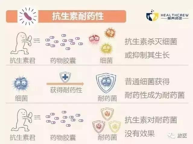 抗生素=消炎药?乱用会"药"你命-健康频道-手机搜狐