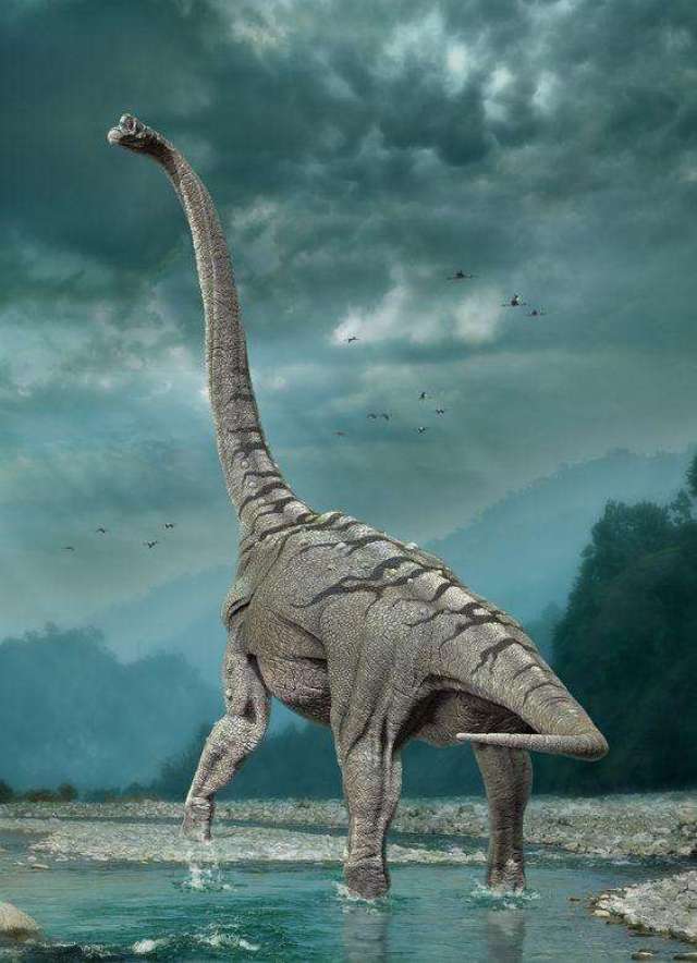 波塞东龙可能是北美洲最后的巨大蜥脚类恐龙.