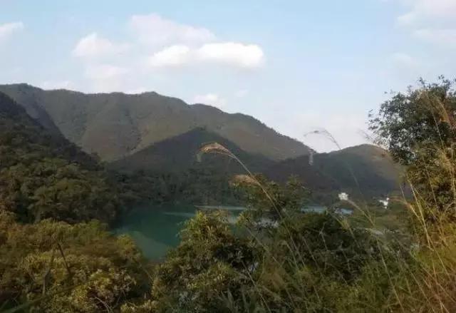 肇庆北岭山内的秘境山居,有广东最极品的山泉泳池