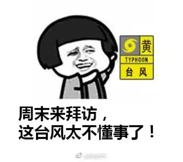紧急!双台风来袭,暴雨大风,未来广州天气