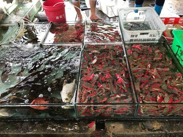 离开深圳前,要去东西冲海岸线,海岛上观日出日落