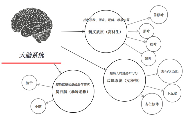 你改变自己很难不是你的问题,是你大脑结构的问题