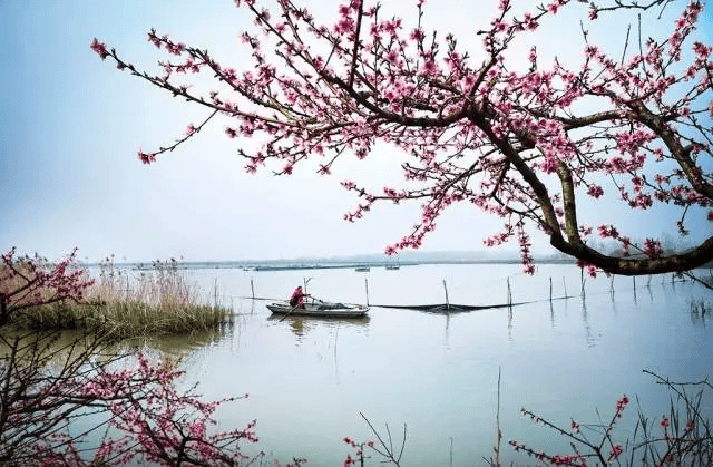 泗洪县天岗湖,城头,陈圩三乡摄影大赛圆满落幕