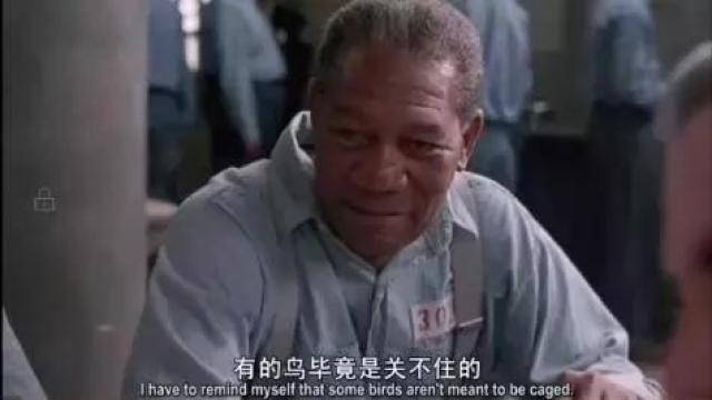 肖申克的救赎经典截图图片