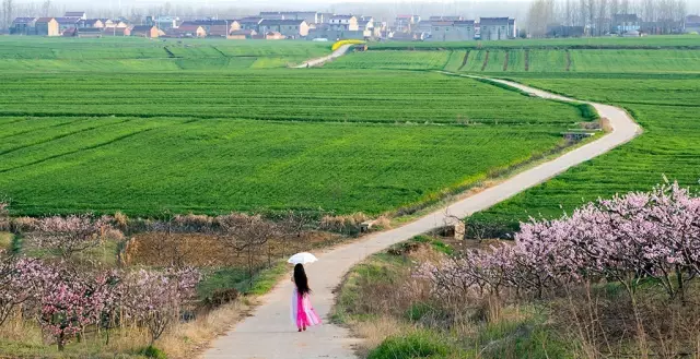 泗洪县天岗湖,城头,陈圩三乡摄影大赛圆满落幕