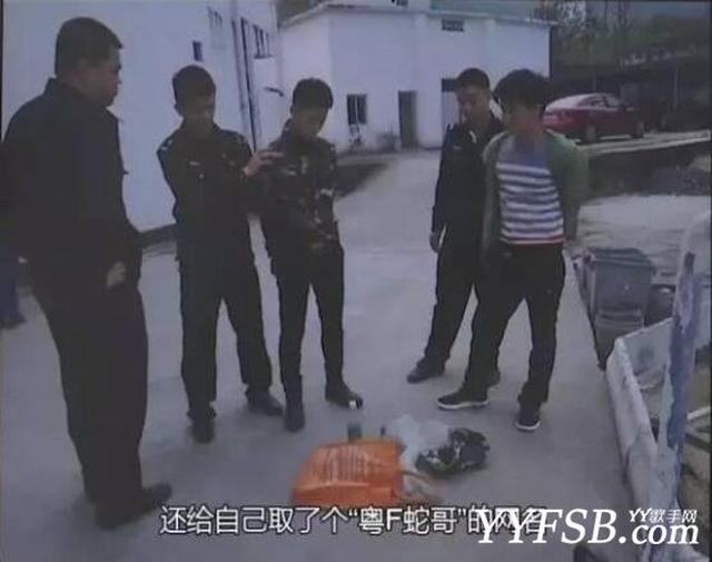 网络直播又摊上事了 快手"粤f蛇哥"直播抓蛇被抓