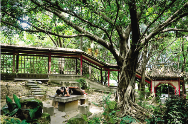 烟台山公园,一个被福州人遗忘的老地方
