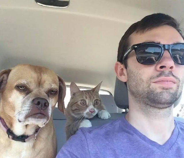 阿娇与韩国男友,狗狗搜索下载,宝马m3敞篷,一