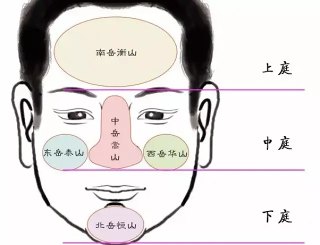 中年财库大开,财运亨通的面相,有你吗?