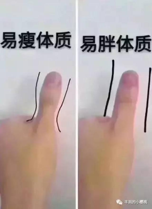 易胖体质怎么才能一个月瘦12斤 df8d36c8333b404282d5a610aacc9a40.jpeg