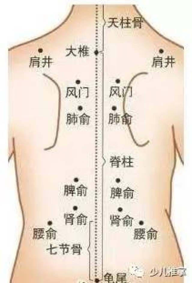 各一穴 做法:用拇指指腹按揉该穴(可搭配补肾经一起) 作用:补肾益气