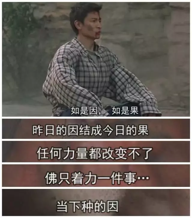 了因在山中等了5年,终于等到了孙果的出现,没有杀他,而是交给了警察.