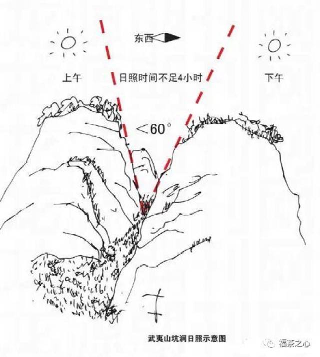 茶百科 | 武夷岩茶山场大解密