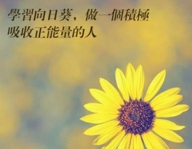 5,峿ԼӼ!