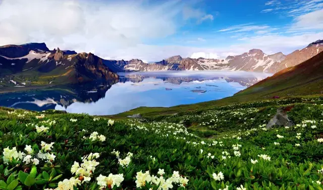 西坡高山花园 长白山西坡的