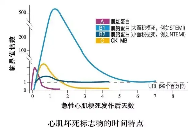 估计心肌缺血损伤面积 各种胸痛原因的鉴别诊断 左心室功能评估 某些