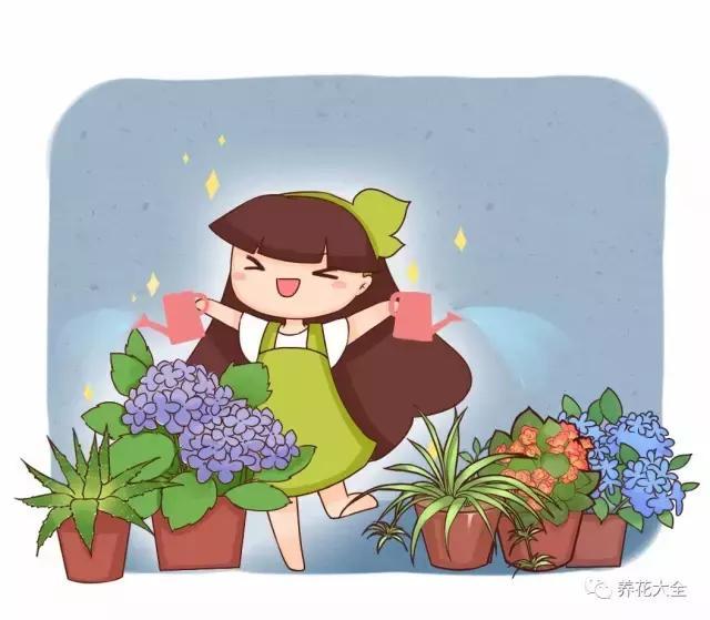 这50种花,不这么浇水,活不过夏天了!