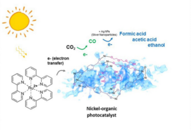 (图片来源:kaiyang niu and haimei zheng berkeley lab 该材料