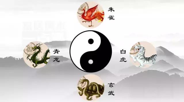 白虎高过青龙怎么办-居家风水自定乾坤交好运
