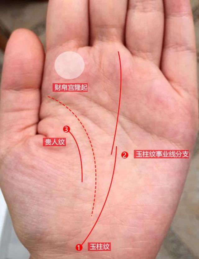 中指笫一节节纹有"三条纹"的人 中指这三处有发财纹的人,中