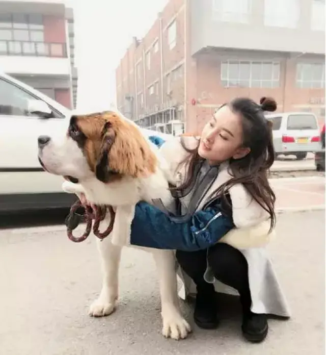 这个夏天,热巴,赵丽颖的减龄啾啾头你get了吗?