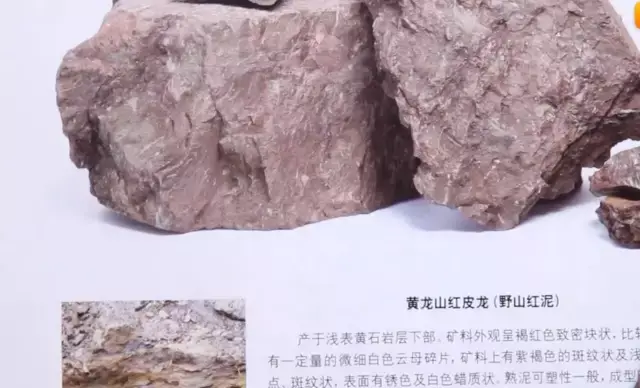 知道这矿石就是红皮龙呢,所以大圣找出了《宜兴紫砂矿料书》作为参考