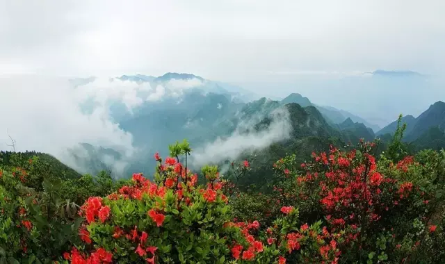 河伯岭在邵阳县的部分由苗竹山,太阳山,枫木山,马头岭,崩土岭