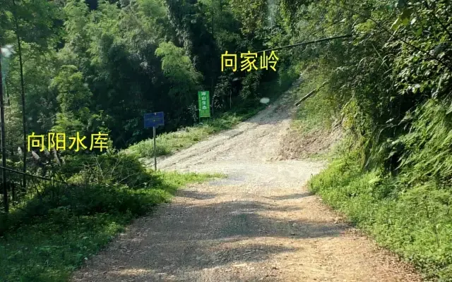 避暑河伯岭,向阳湖旁深山藏有绝世好风景