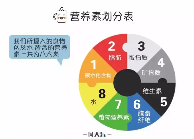 其中,只有碳水化合物,脂肪和蛋白质,能通过体内氧化释放能量.