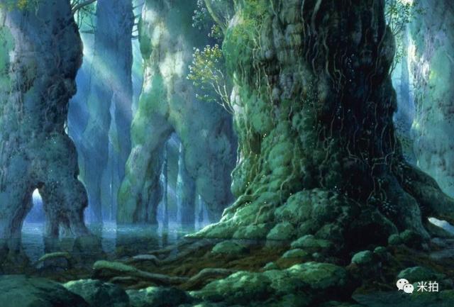 《幽灵公主》的原始森林,国内也可拍到美如画照片