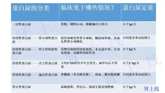 全面搞懂蛋白尿的常见情况,转给需要的人