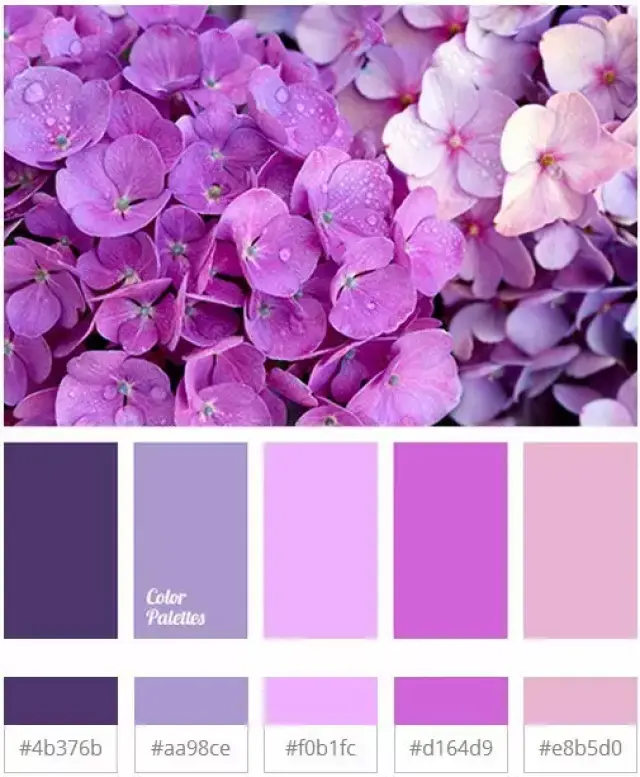 请看 下面的 失败案例 ▼ △ 紫色是一个 相对 难搭配的颜色 △ 颜