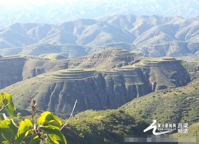 立秋前夕,位于离石区信义镇的玉林山一片葱茏,从高处俯瞰层峦障天