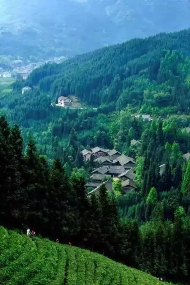 《地理杂志》发布四川最美20个景点,眉山的是