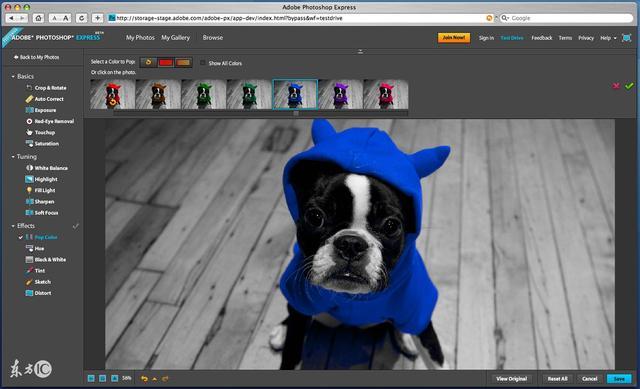 厦门职业资格证书报考条件-厦门职业技能培训