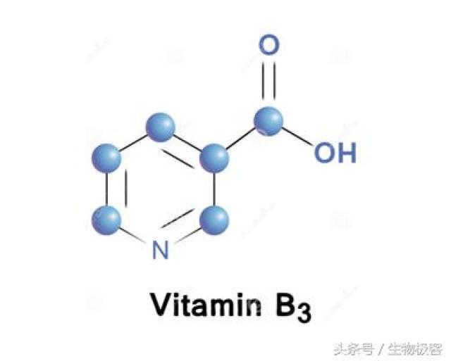 她说,母亲饮食中额外补充维生素b3可能有助于弥补这种先天缺