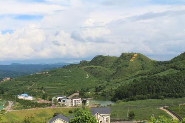 麻江,蓝莓故乡,状元故里