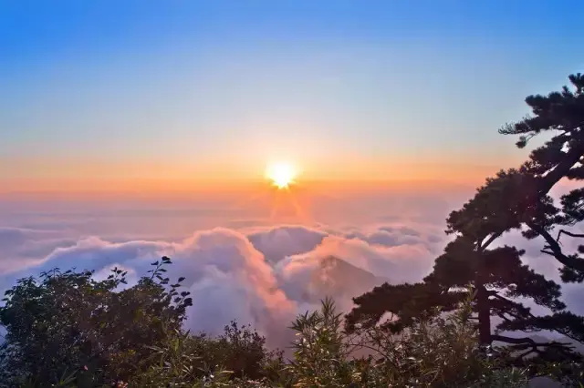 翻山越岭,只为来看"你"