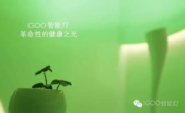 什么时候天亮 e9d7196590f4483695accd4fbf3a577d.jpg