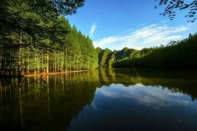 龙池是一个天然的湖泊,保持原始状态,蓝天白云,碧水青山,森林茂盛,如