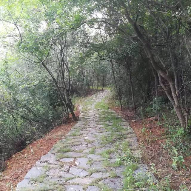 含山伍子胥古道又添新景,千金湖畔烟雨楼!