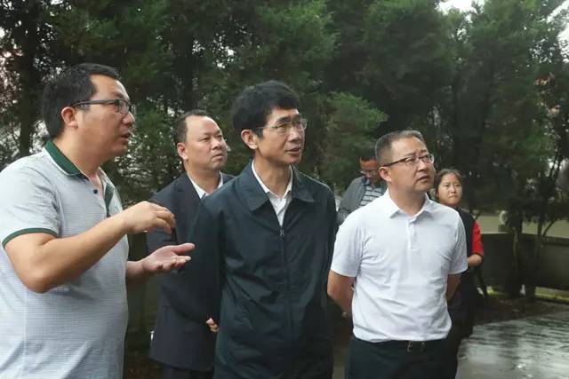 云南省委常委,宣传部长赵金莅腾调研督查创文工作