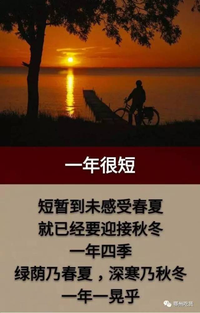 这一生,很累;这一生,很苦;这一生,很难;这一生,很短「句句入心」