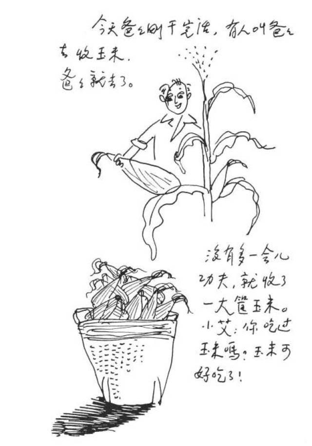 收玉米