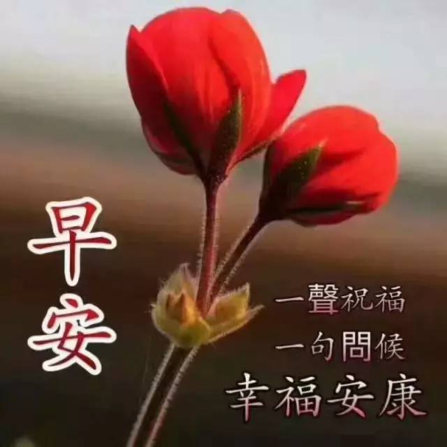 早上好●星期四一曲《好运送给你》致我最在乎的人!