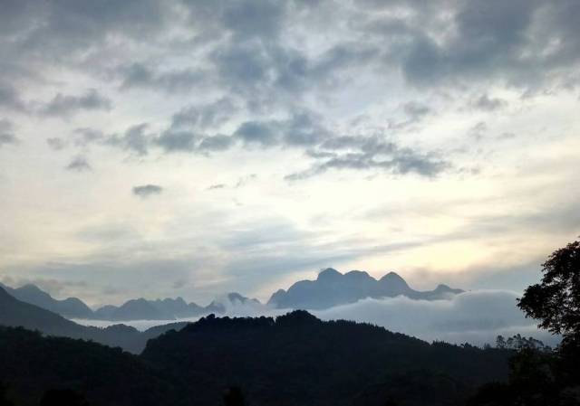 三水大塘经济总量_三水大塘新城规划图(3)
