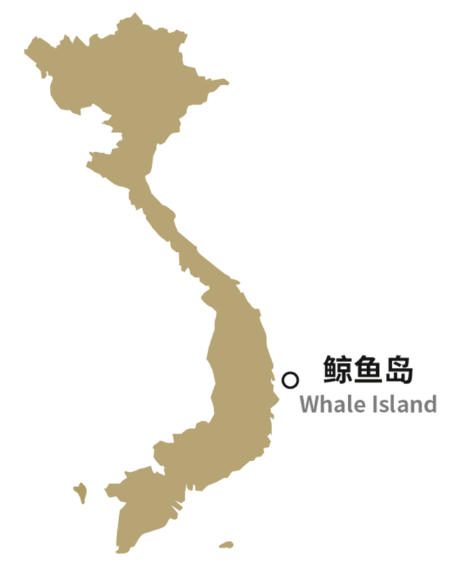 特点: - 常有海豚出没 - 能看见绿海龟产卵 - 拥有世界濒危物种儒艮