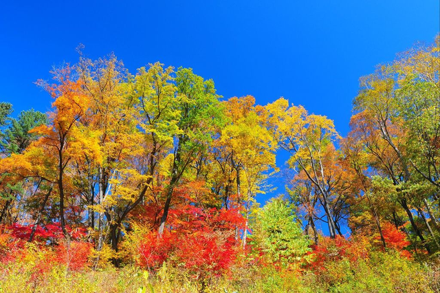 八月长白起灵归—长白山,来过