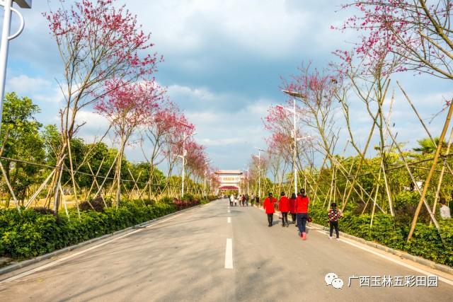 当你不得不对生活妥协时,攻略自驾在您身后-旅游频道绵阳田园蜀南竹海旅游五彩图片